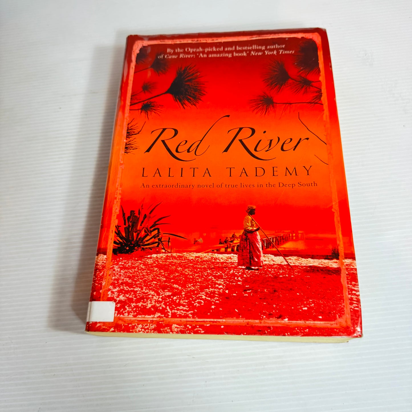 Red River - Lalita Tademy