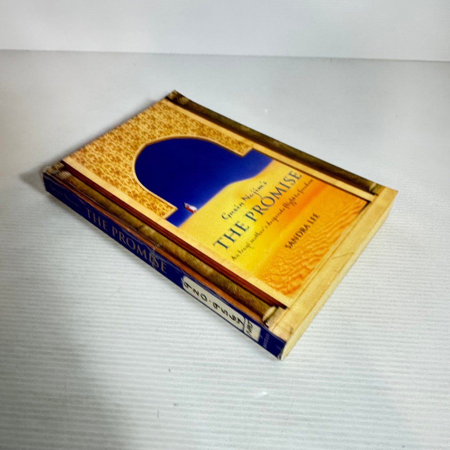 Guzin Najim's The Promise - Sandra Lee
