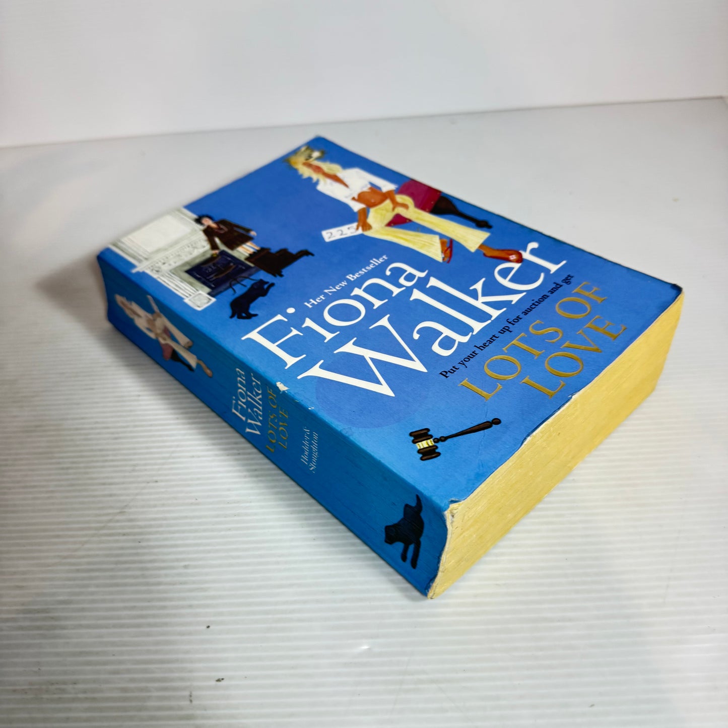 Lots of Love - Fiona Walker