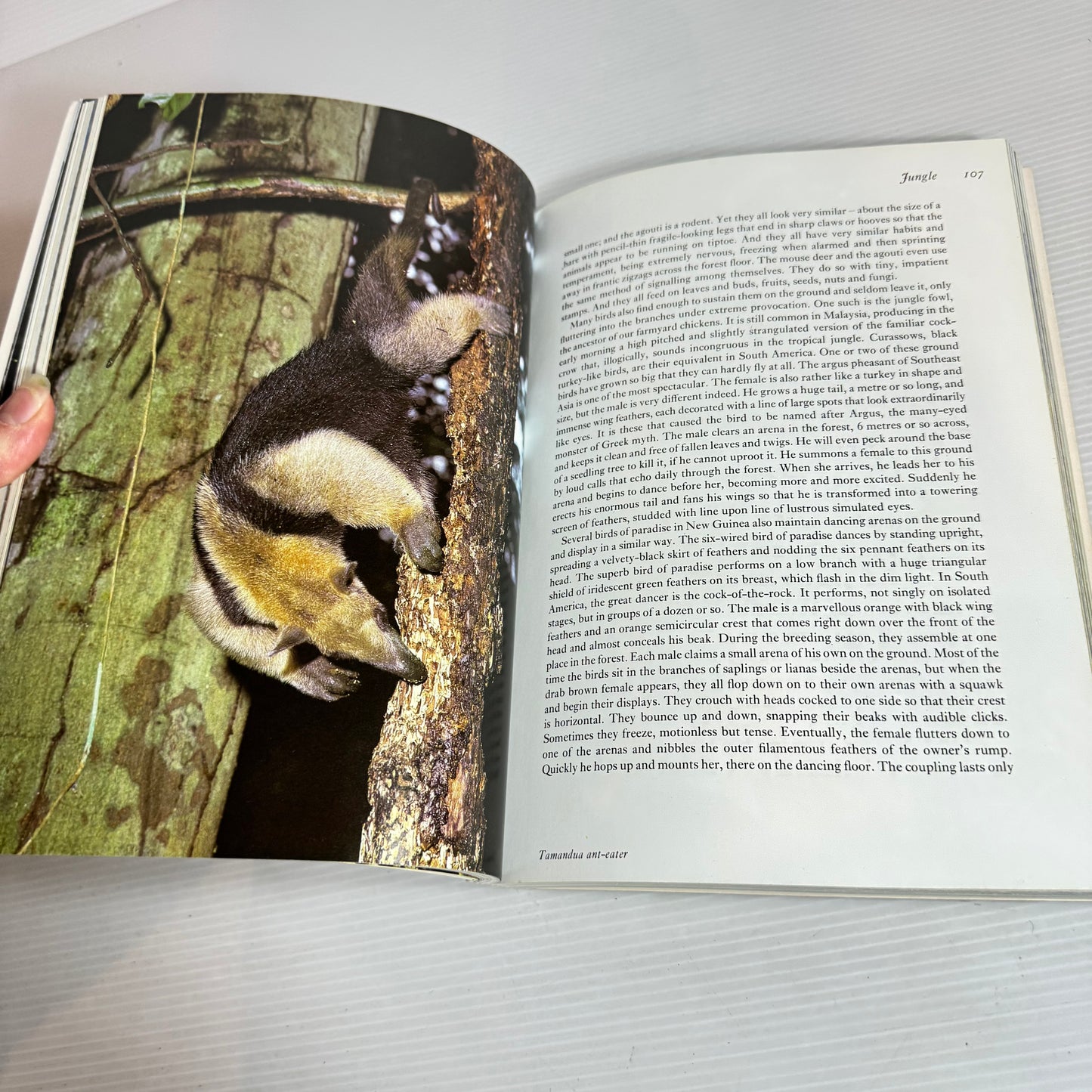 The Living Planet - David Attenborough