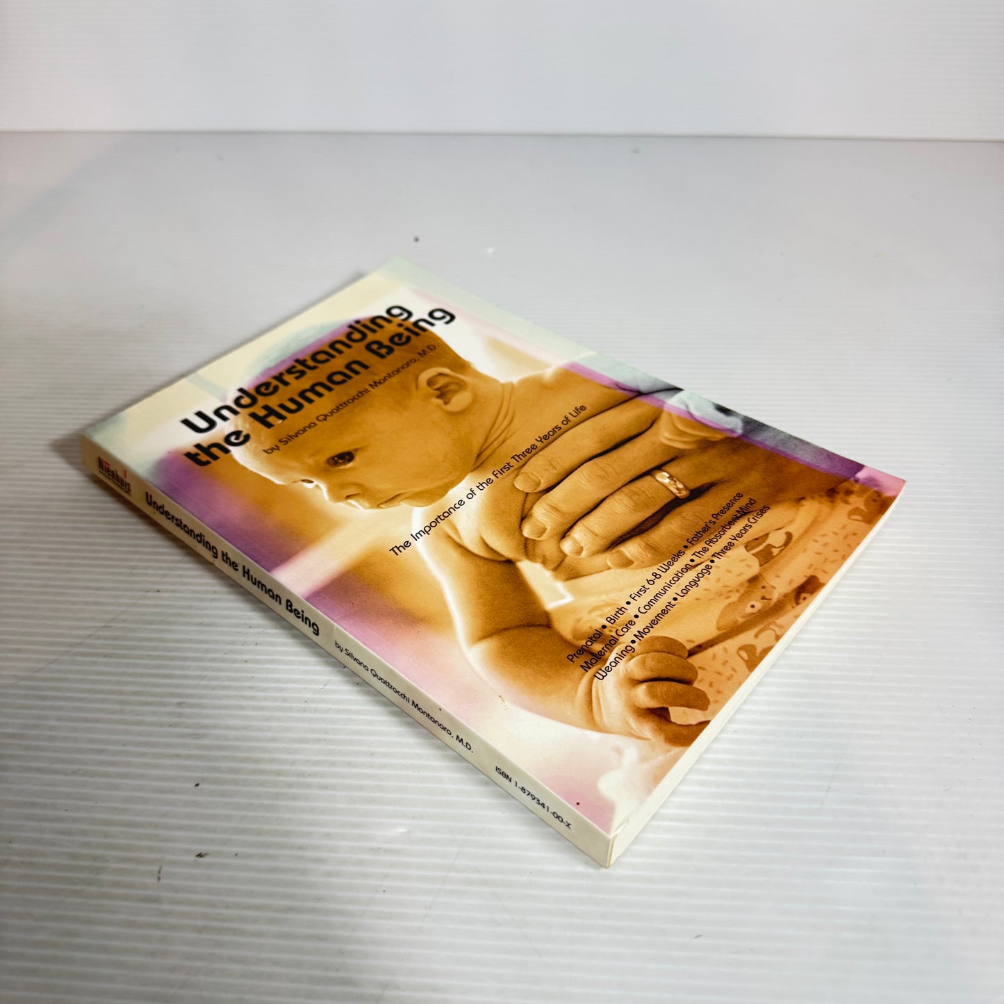 Understanding the Human Being : The Importance of the First Three Years of Life - Silvana Quattrocchi Montanaro M.D.