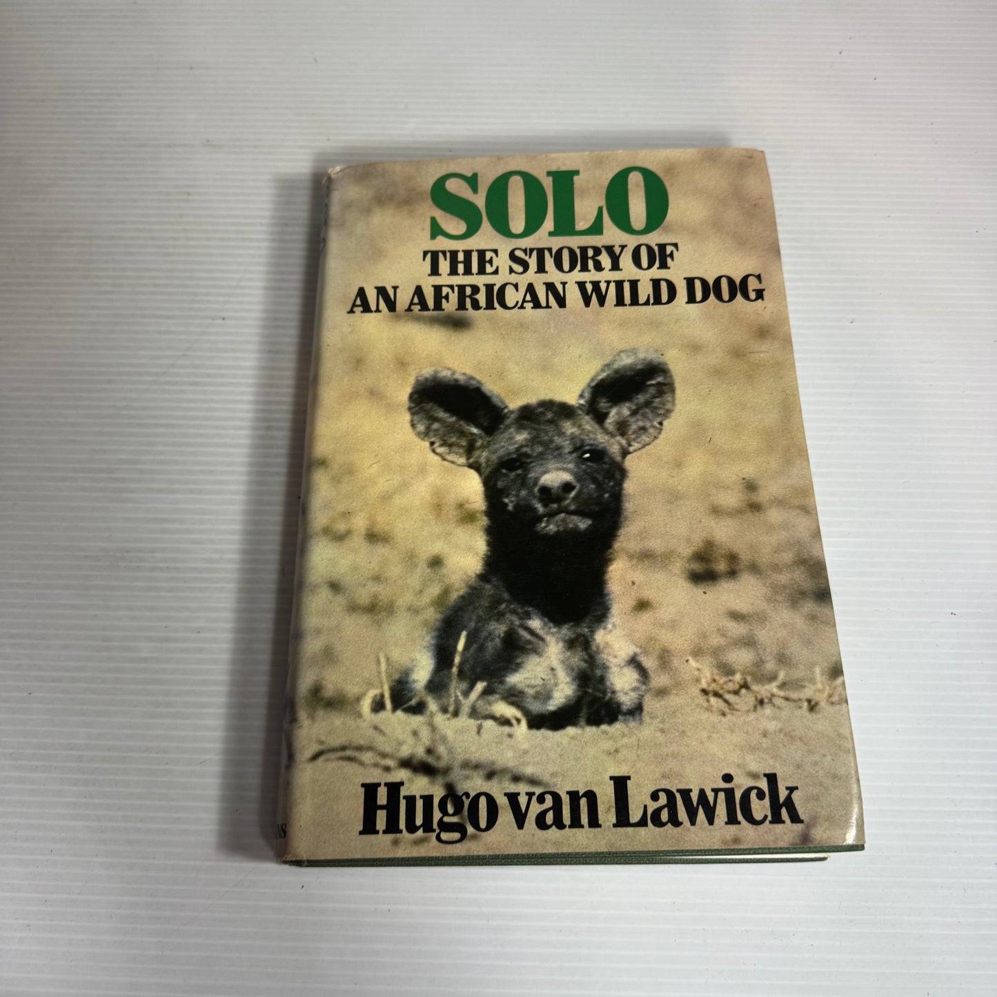 Solo: The Story Of An African Wild Dog - Hugo Van Lawick