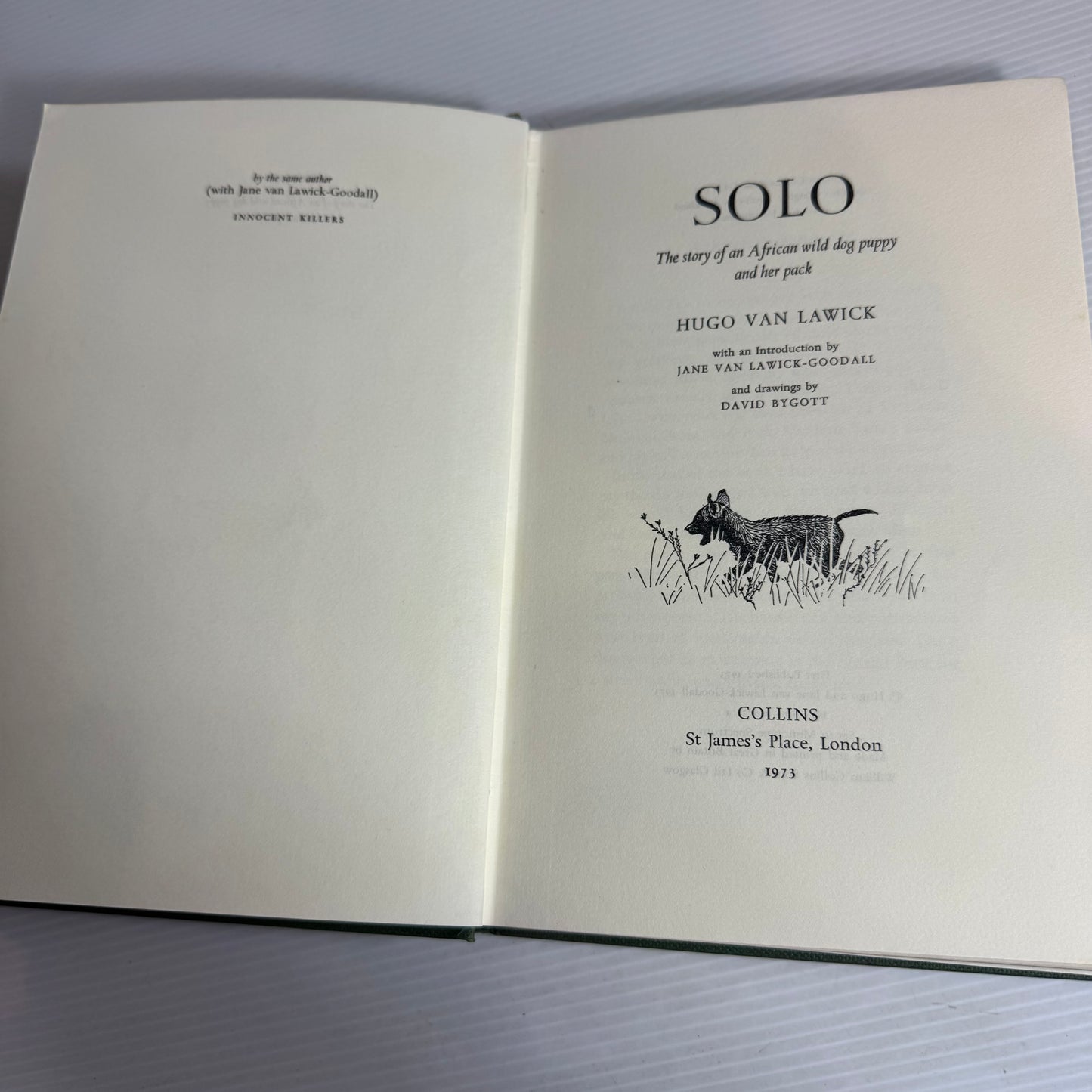 Solo: The Story Of An African Wild Dog - Hugo Van Lawick