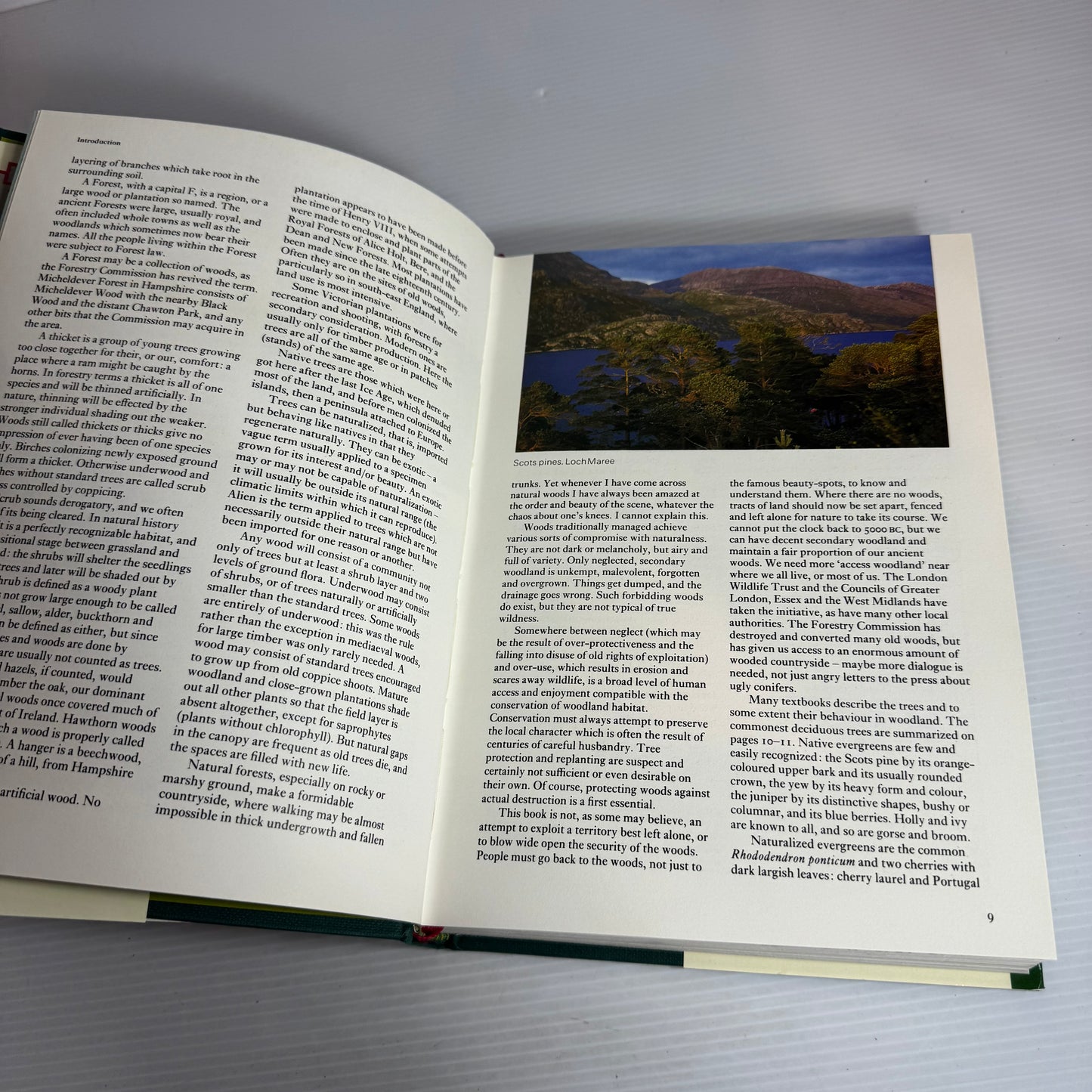 Woodland Walks - Gerald Wilkinson