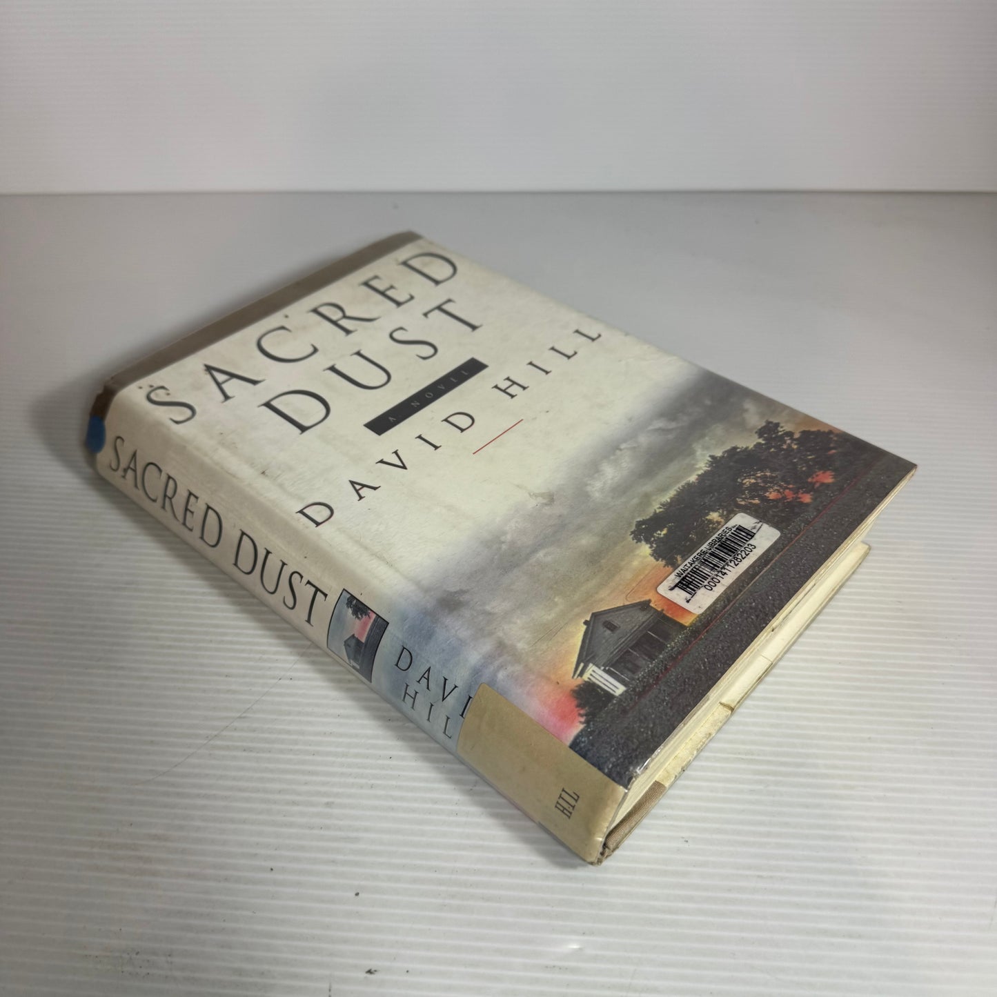 Sacred Dust - David Hill
