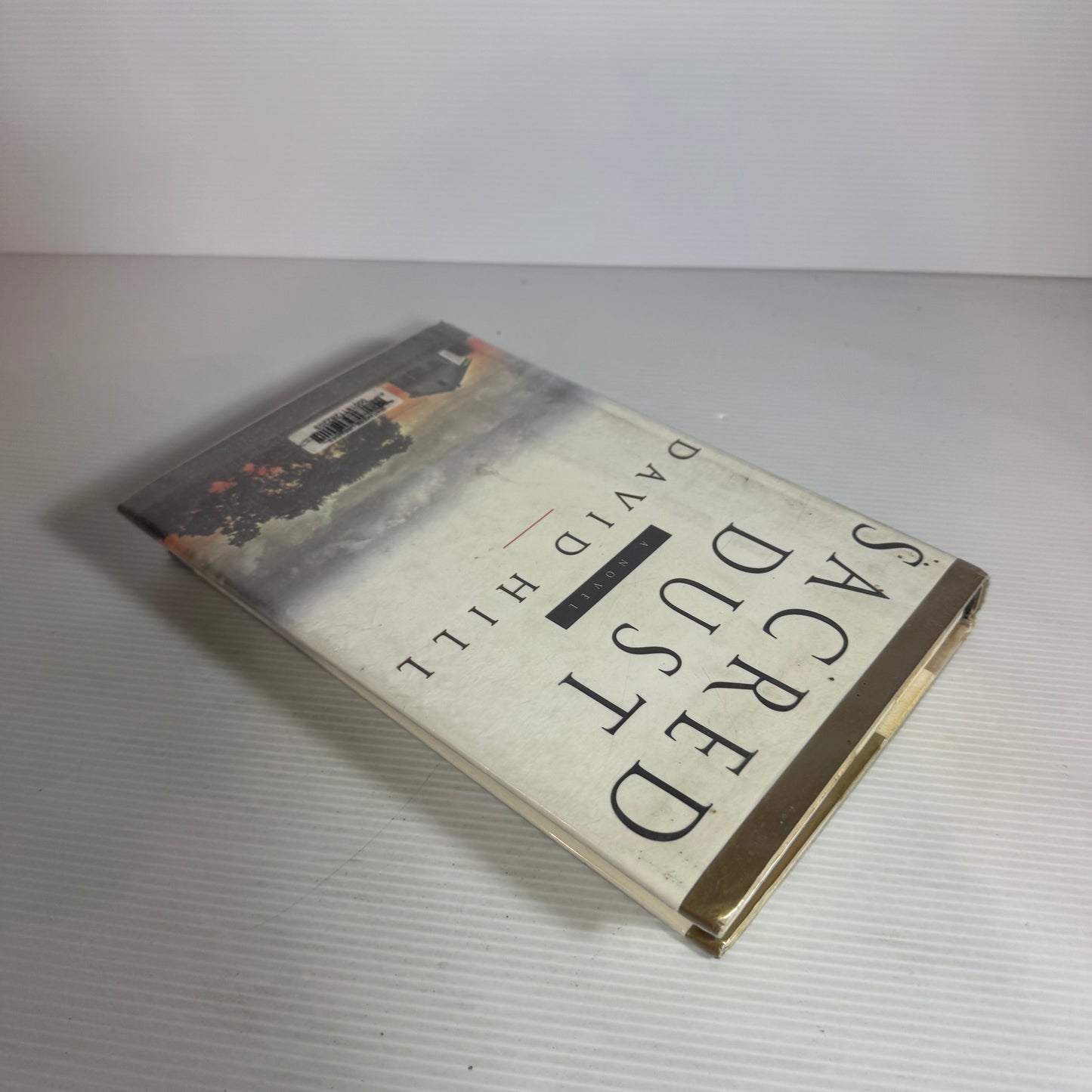 Sacred Dust - David Hill