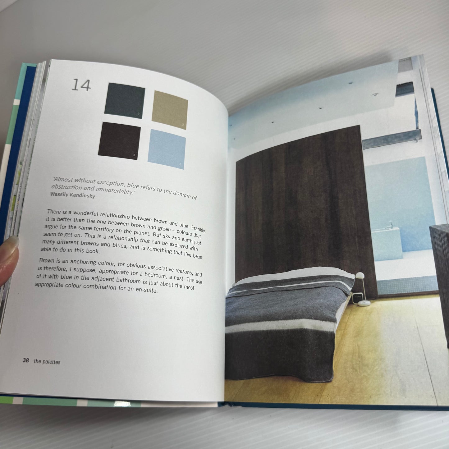 Kevin McCloud's Colour Now : An Expert Guide to Choosing Colour for Your Home