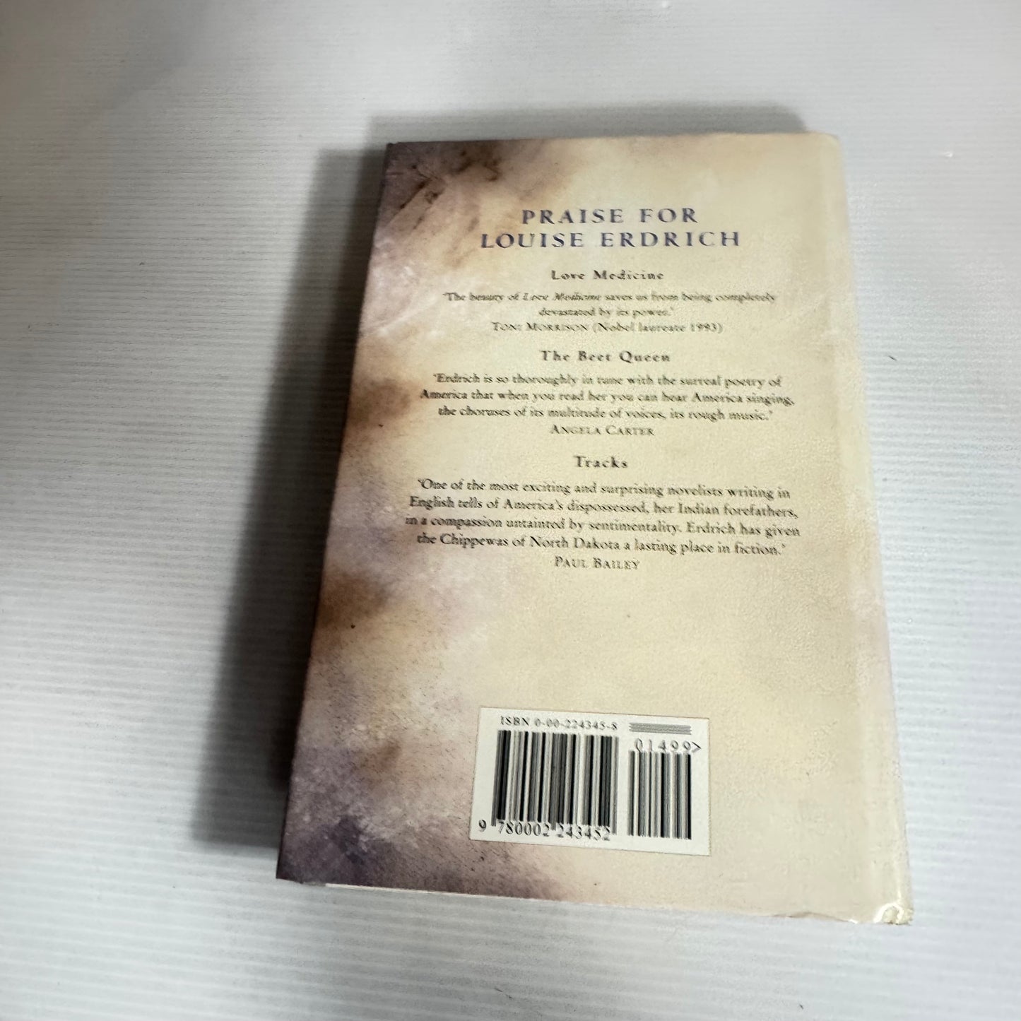 The Bingo  Palace - Louise Erdrich