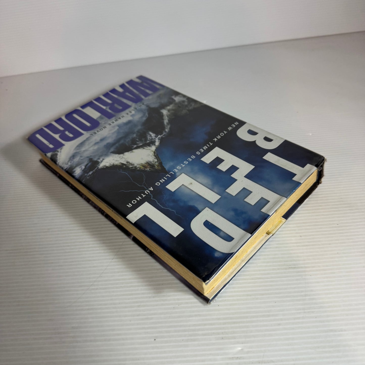 Warlord - Ted Bell
