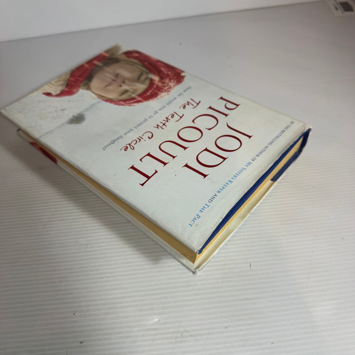 The Tenth Circle - Jodi Picoult