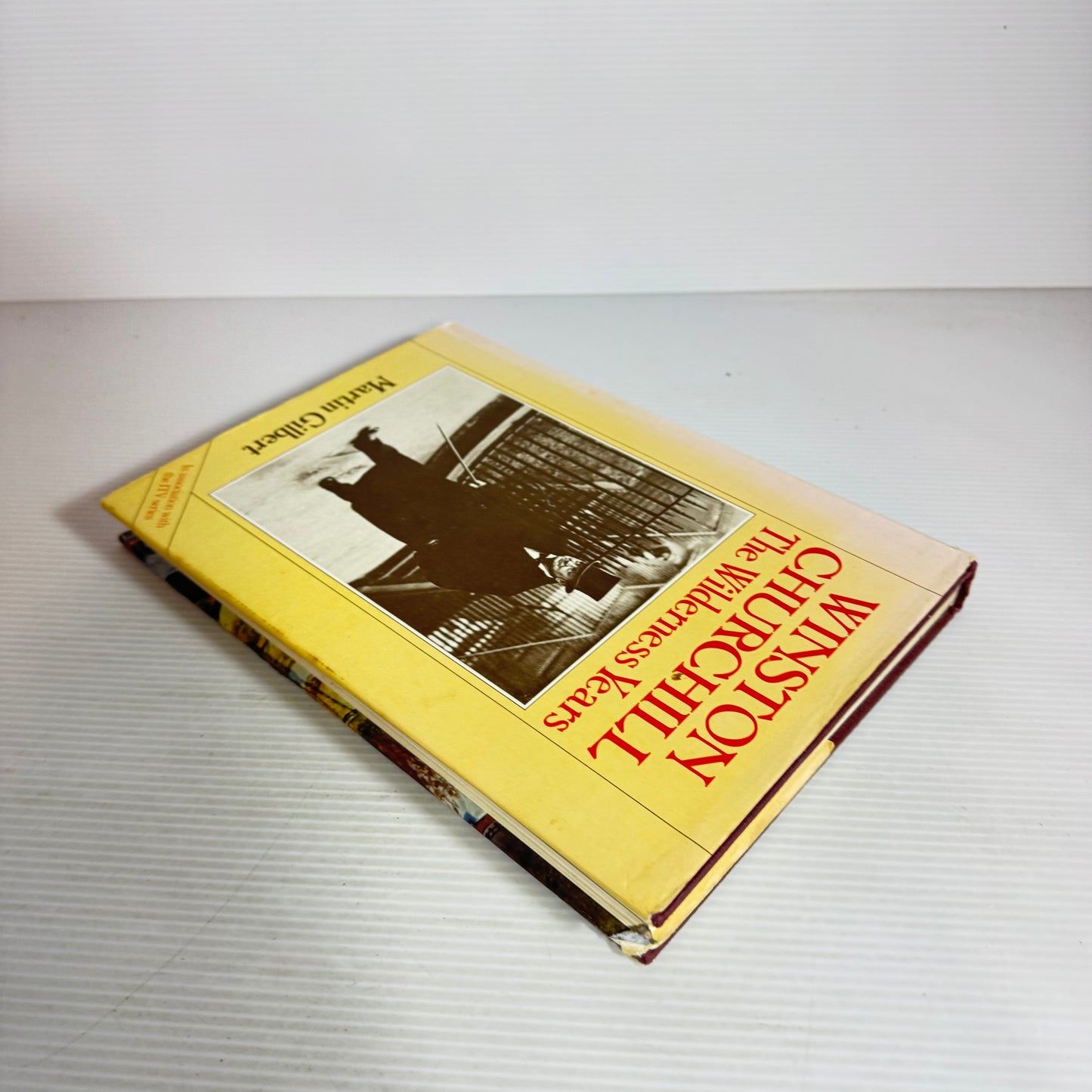 Winston Churchill : The Wilderness Years - Martin Gilbert  (Vintage 1981)