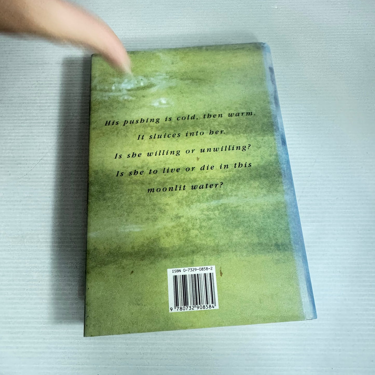 The Drowner - Robert Drewe