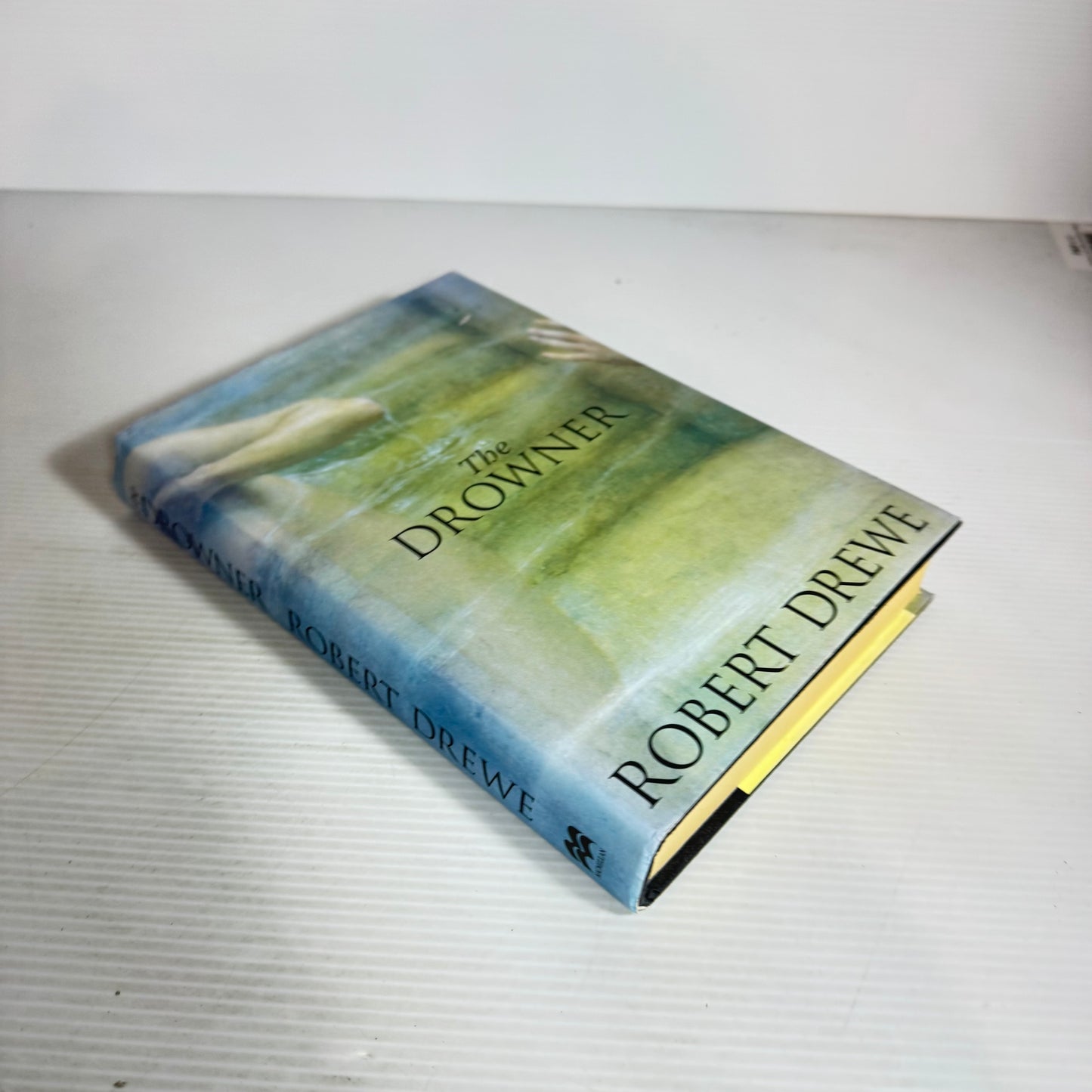 The Drowner - Robert Drewe