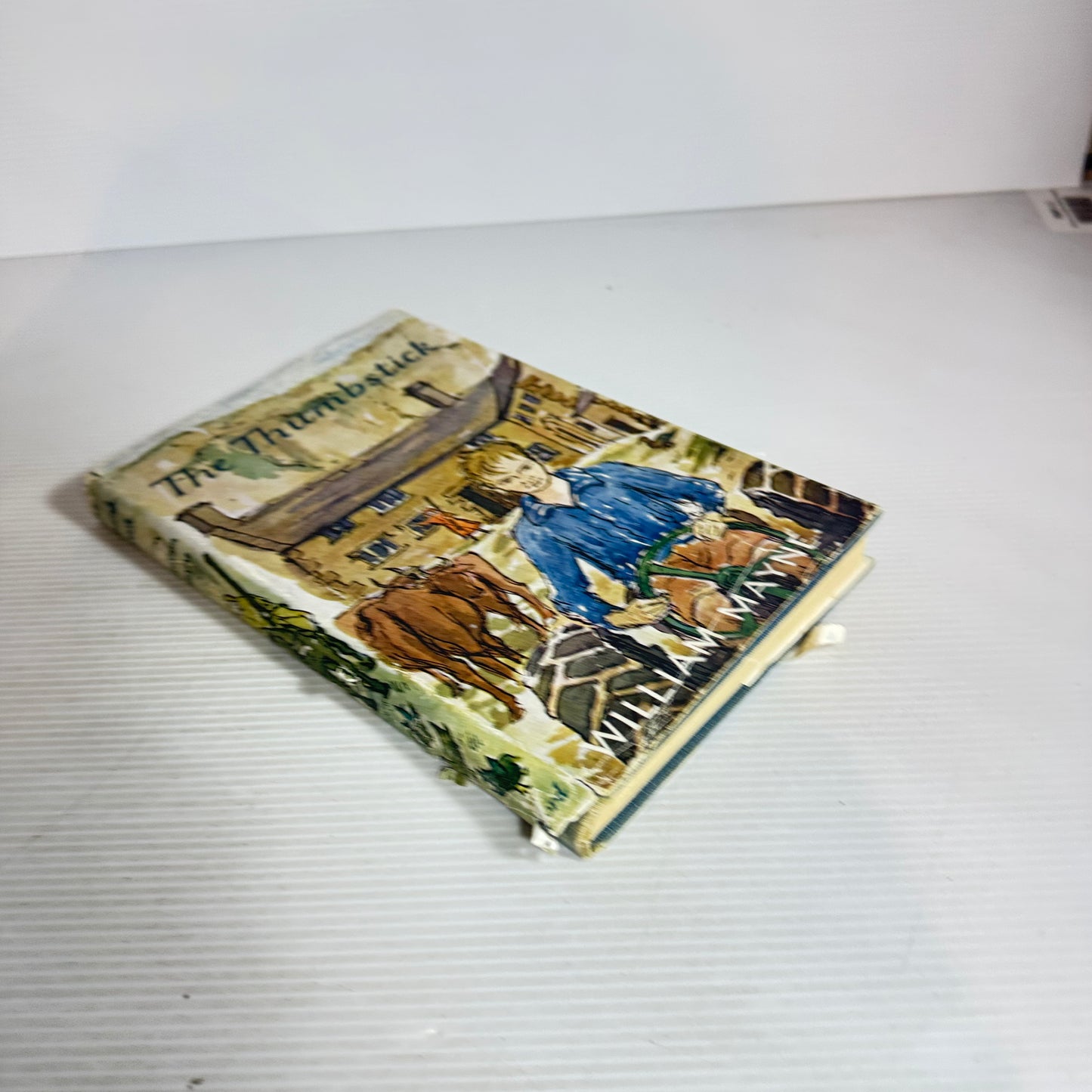 The Thumbstick - William Mayne (Vintage First Edition 1959)