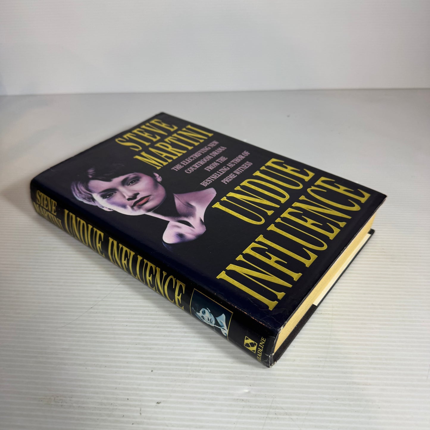 Undue Influence - Steve Martini