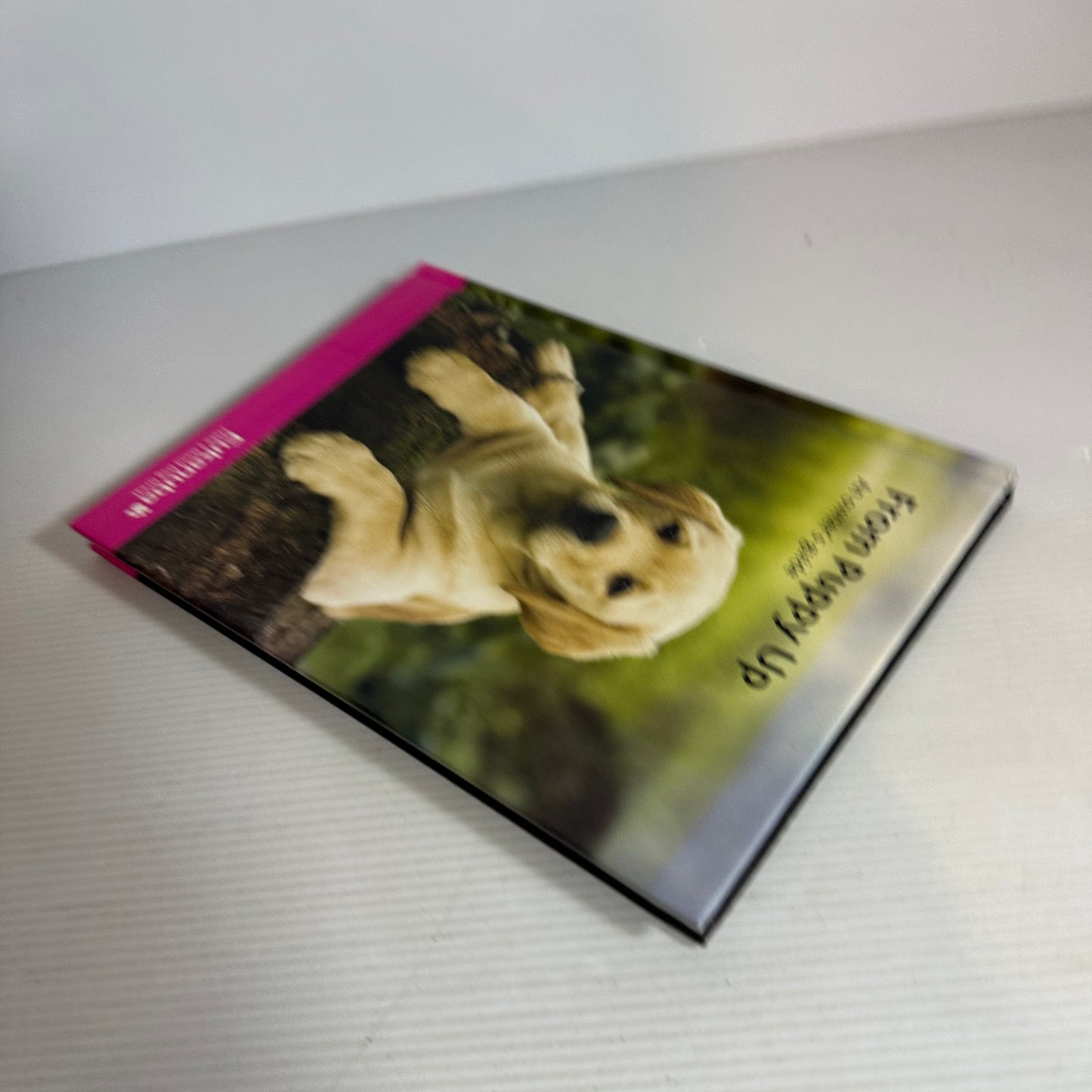 From Puppy Up : An Owner's Guide