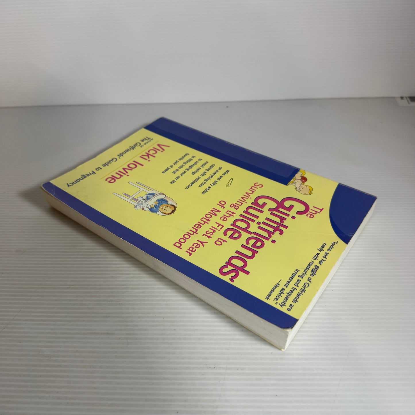 The Girlfriend's Guide to Surviving the First Year of Motherhood - Vicki Iovine