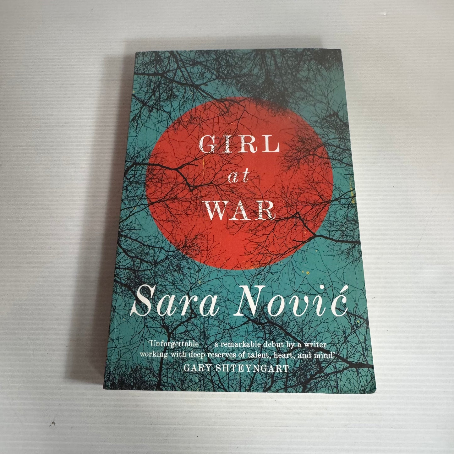 Girl at War - Sara Novic