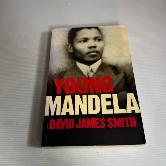 Young Mandela - David James Smith