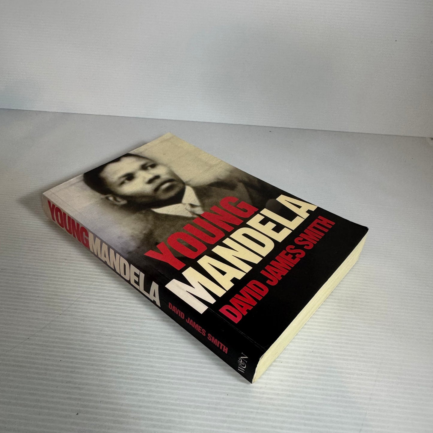 Young Mandela - David James Smith