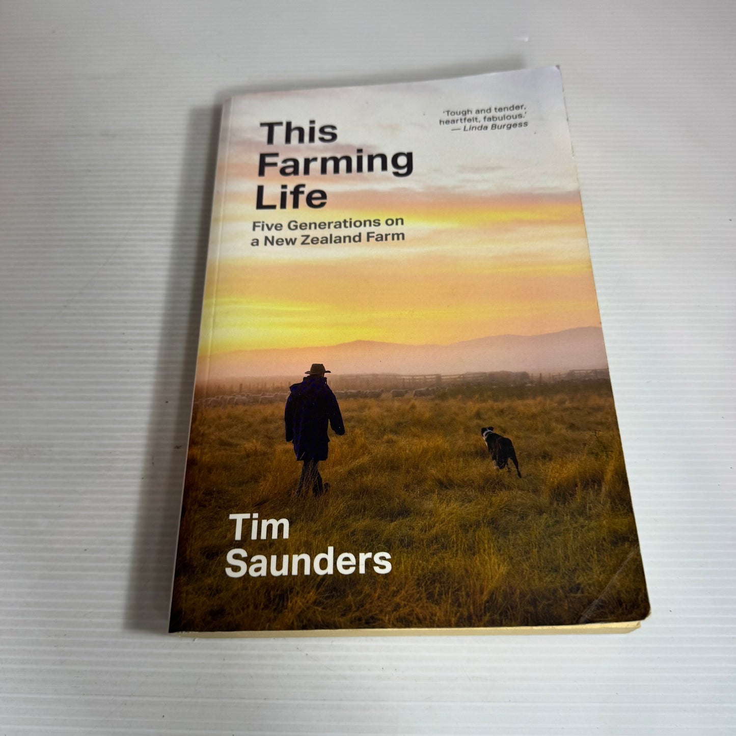 This Farming Life : Five Generations on a New Zealand Farm Life - Tim Saunders