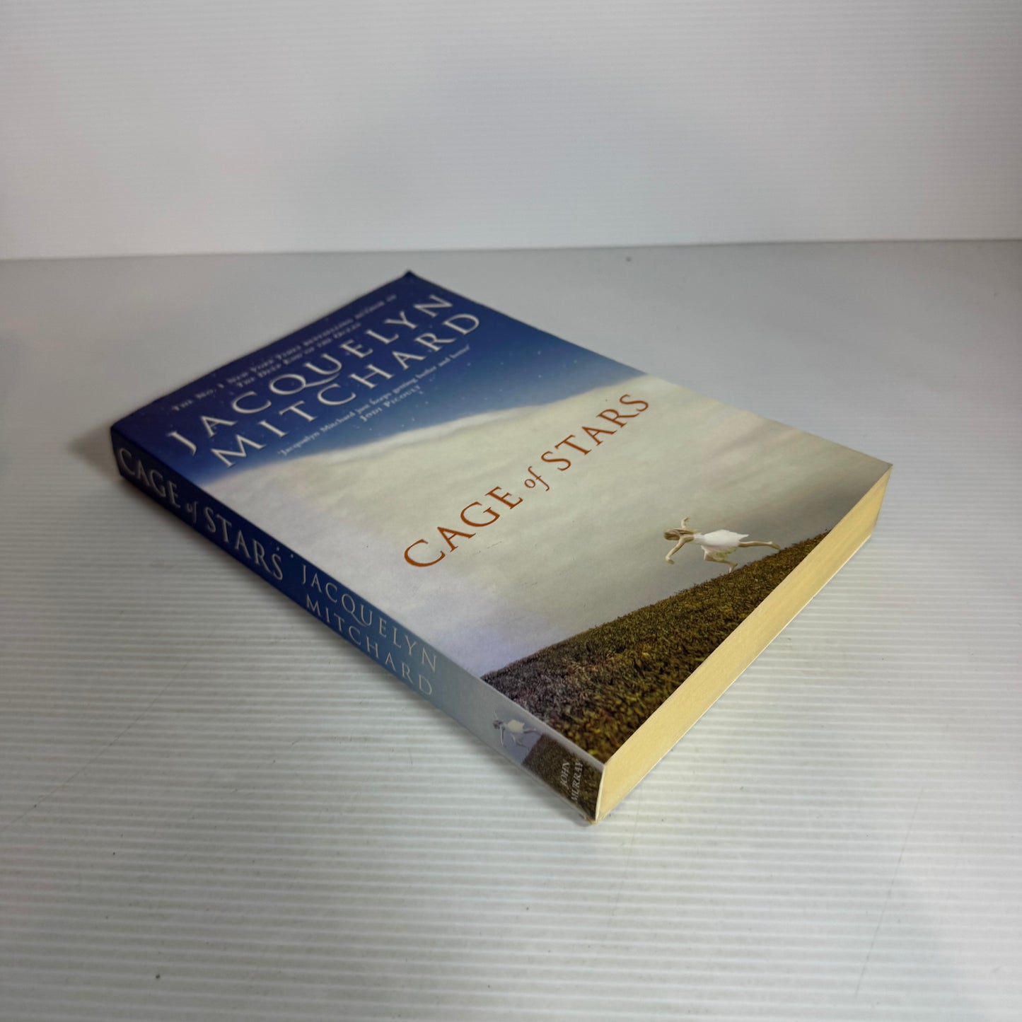 Cage of Stars - Jacquelyn Mitchard