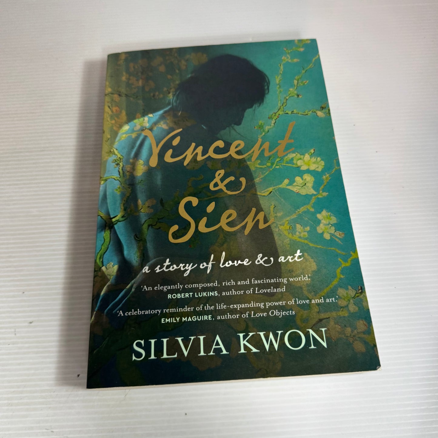 Vincent & Sien - Silvia Kwon