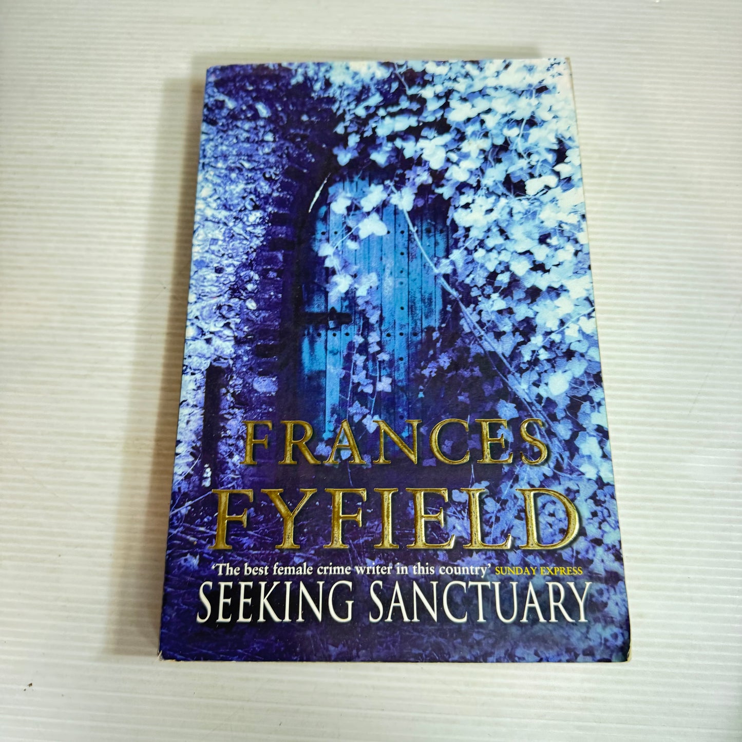 Seeking Sanctuary - Frances Fyfield