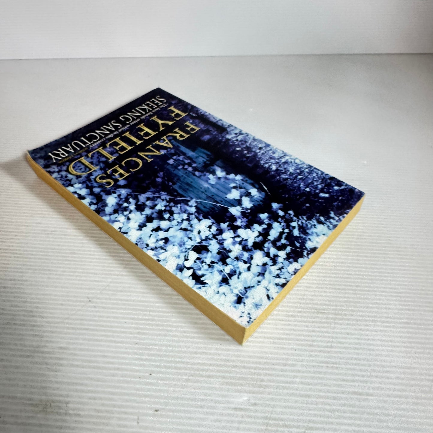 Seeking Sanctuary - Frances Fyfield