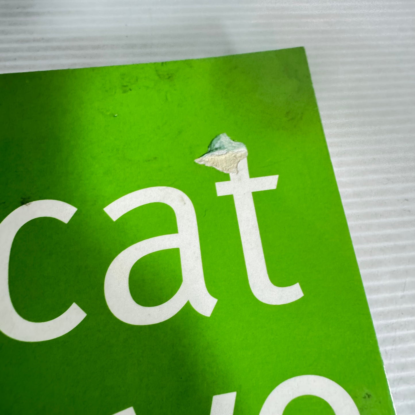 Tomcat in Love - Tim O'Brien