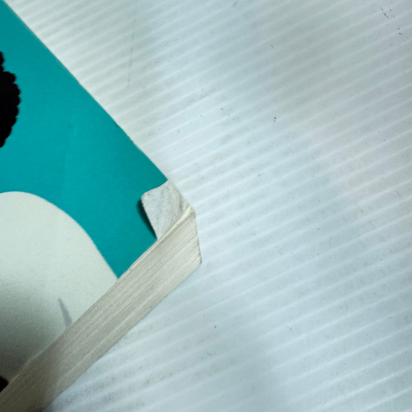 The Second Baby Book : How to Cope with Pregnancy Number Two - Sarah Ockwell-Smith