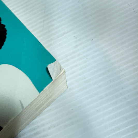 The Second Baby Book : How to Cope with Pregnancy Number Two - Sarah Ockwell-Smith