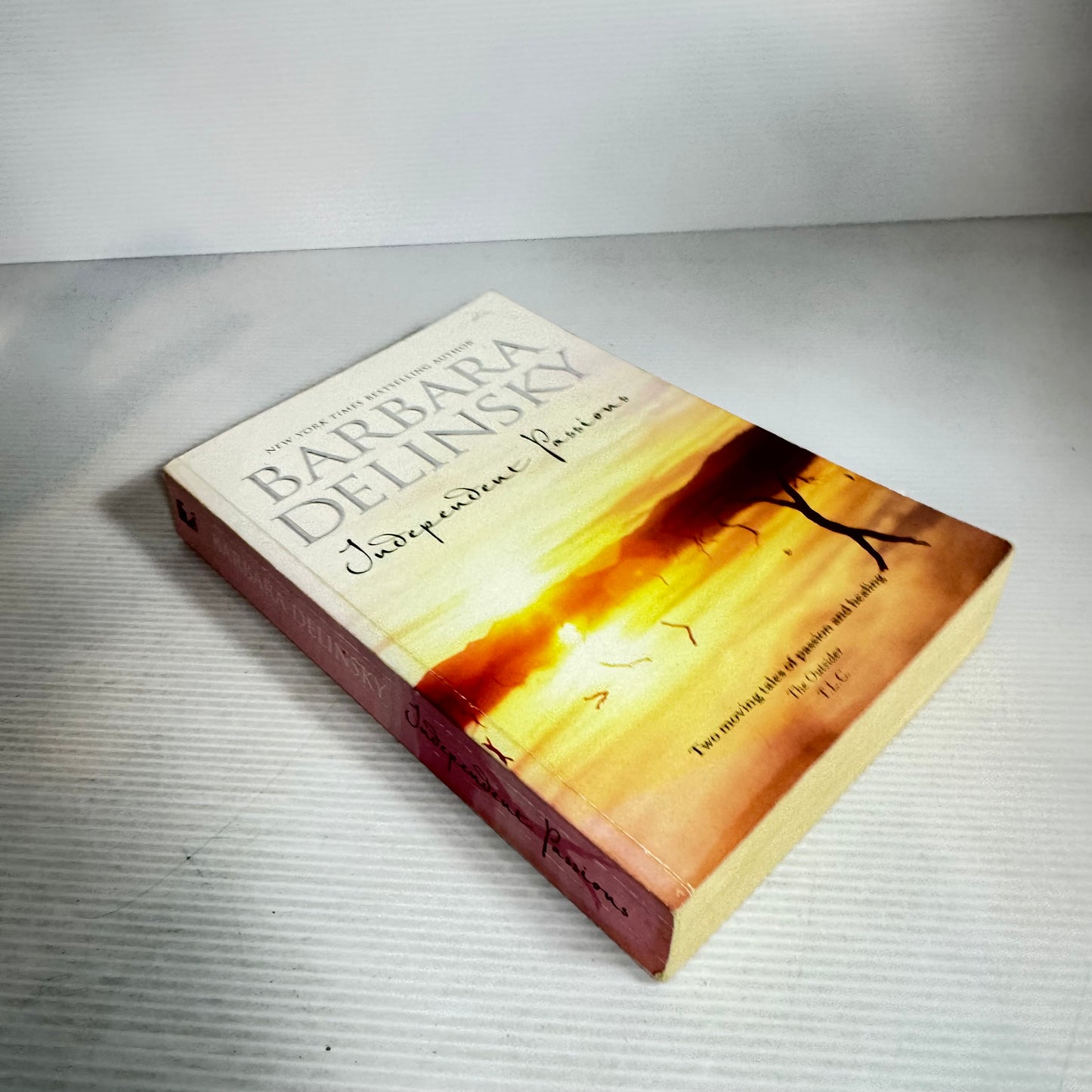 Independent Passions - Barbara Delinsky