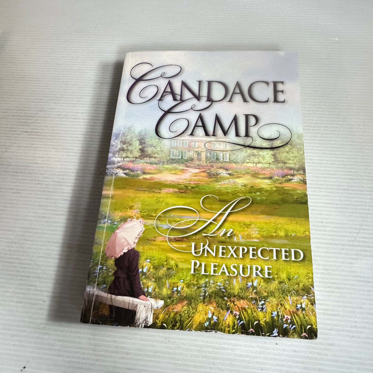 The Unexpected Pleasure - Candace Camp