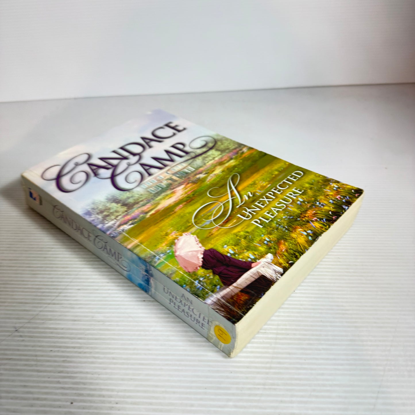 The Unexpected Pleasure - Candace Camp