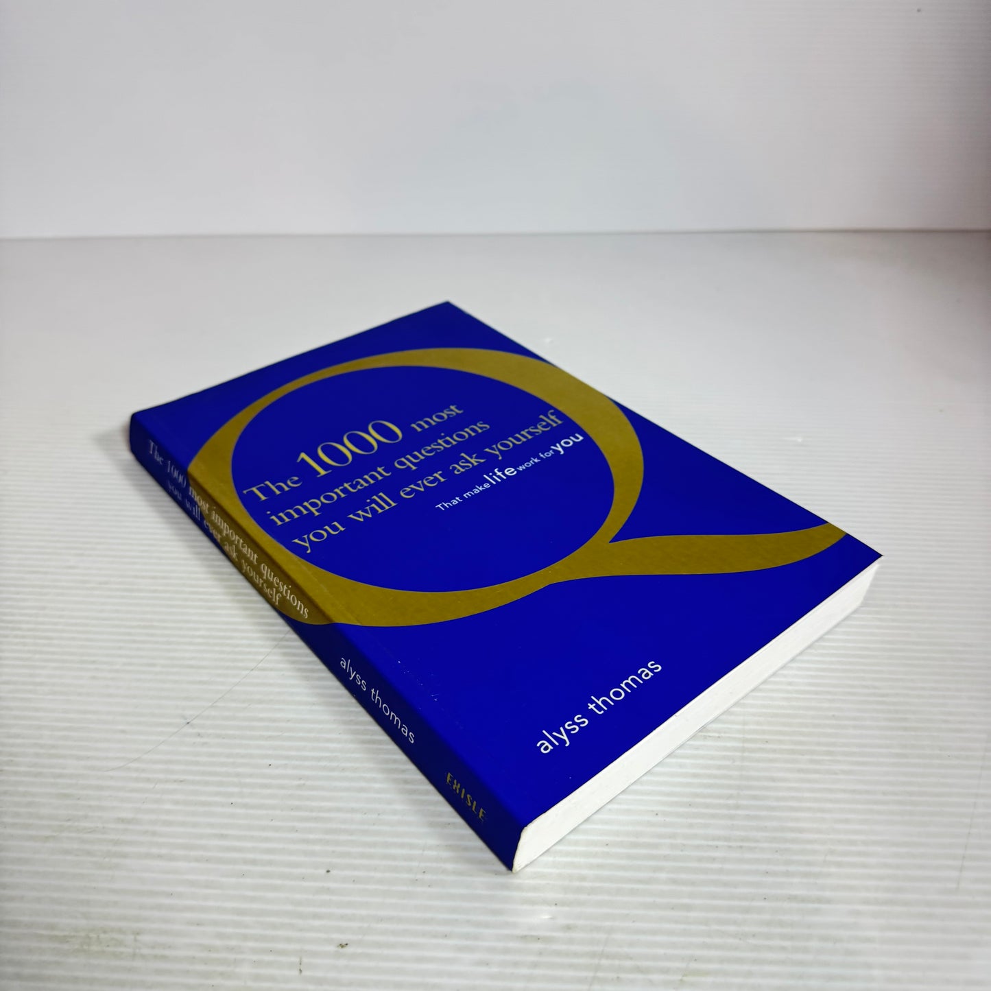 The 1000 Most Important Questions You Will Ever Ask Yourself That Make Life Work For You - Alyss Thomas