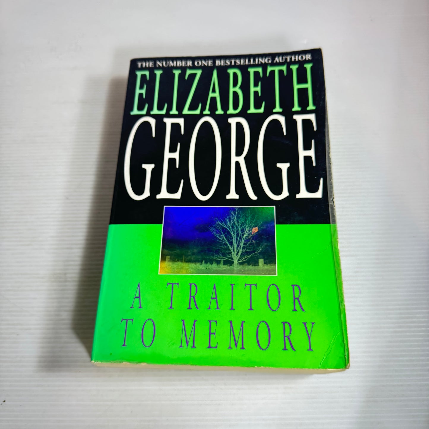 A Traitor To Memory - Elizabeth George