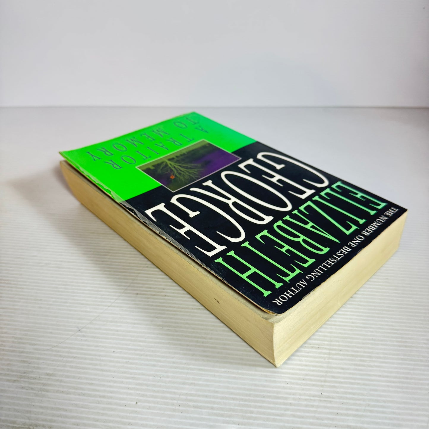 A Traitor To Memory - Elizabeth George