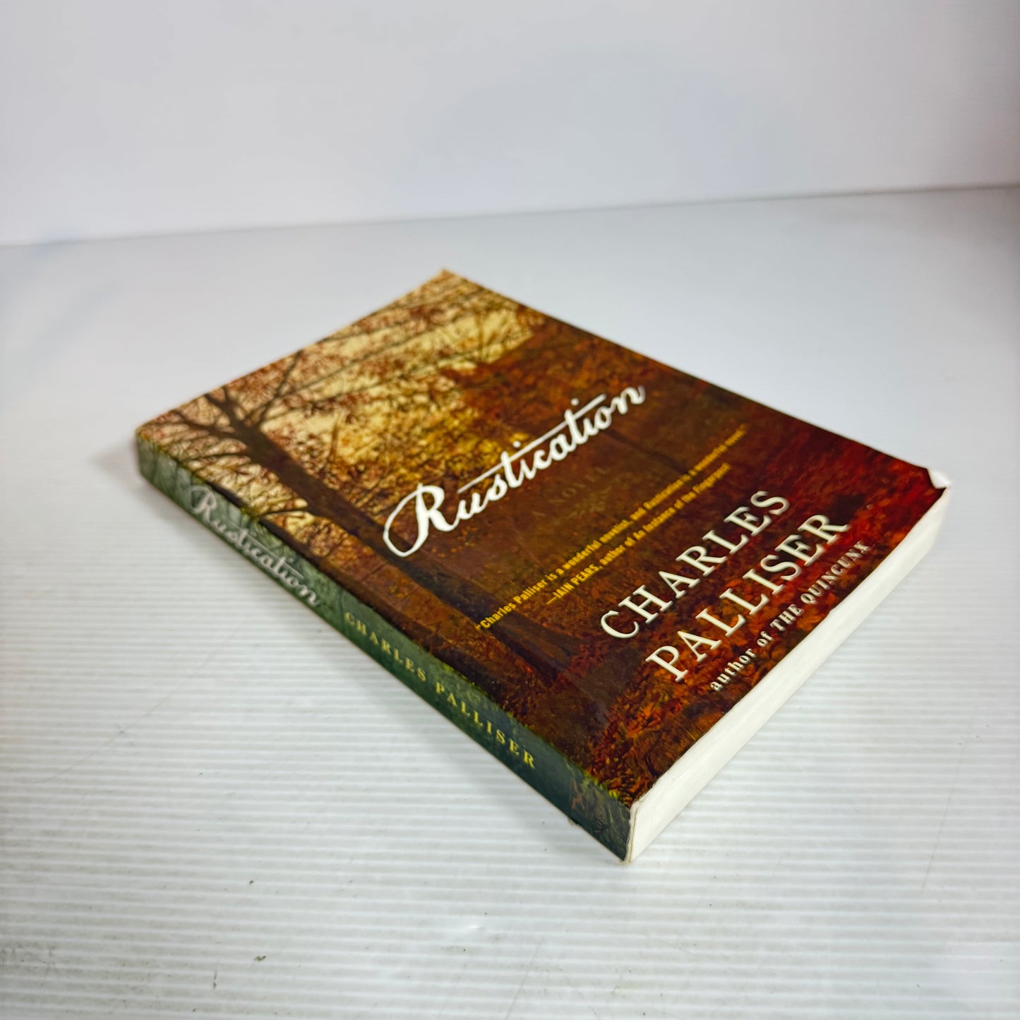 Rustication - Charles Palliser