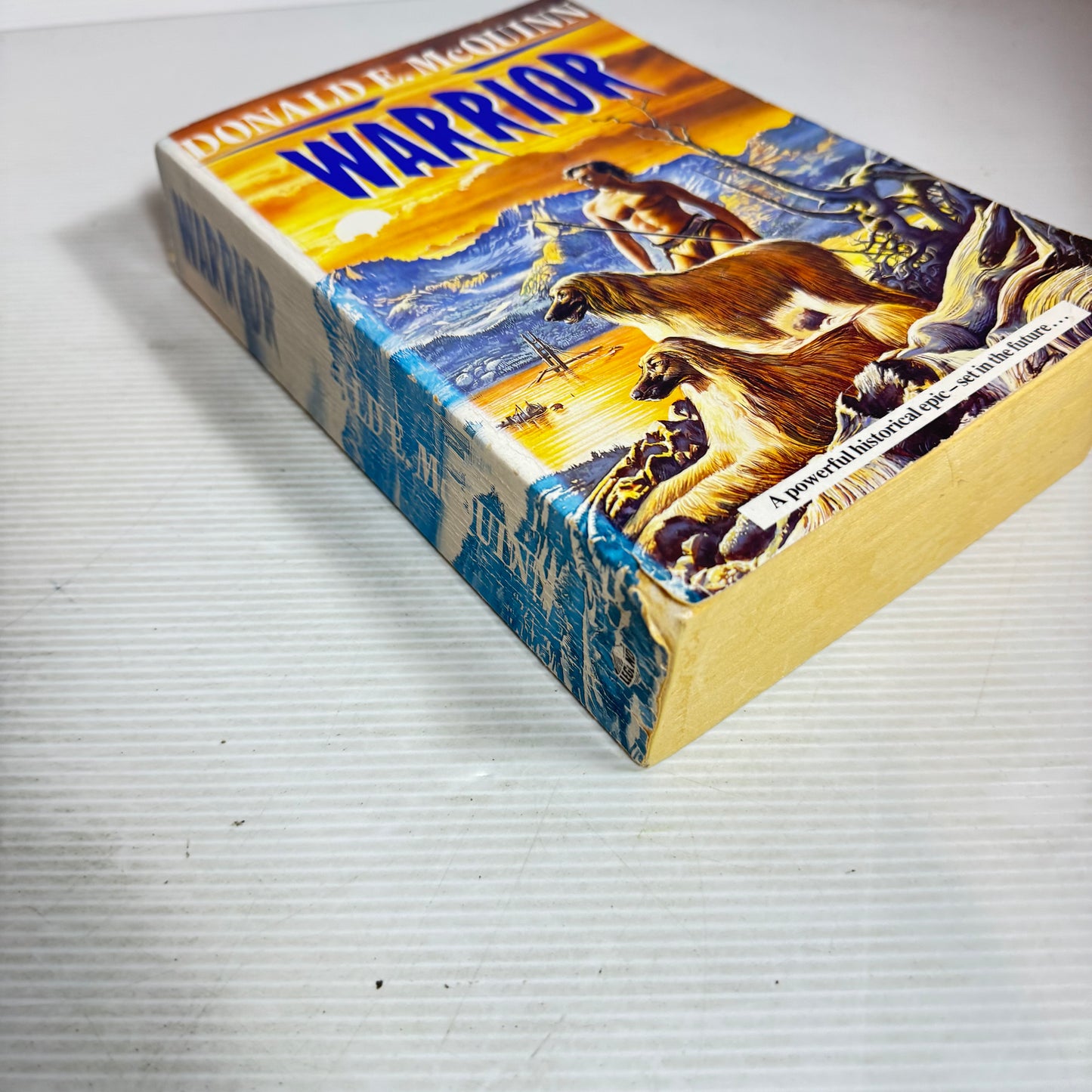 Warrior - Donald E. McQuinn