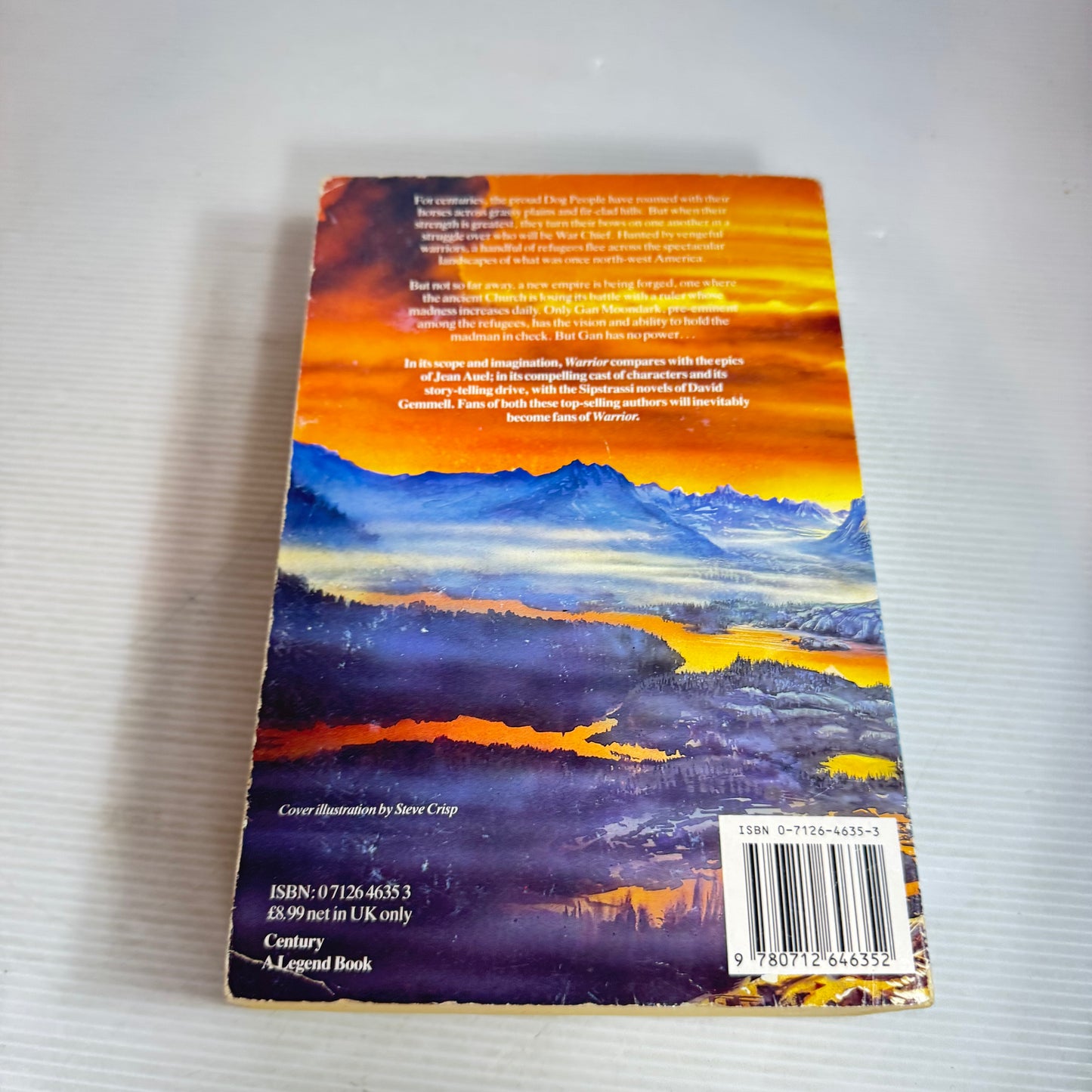 Warrior - Donald E. McQuinn