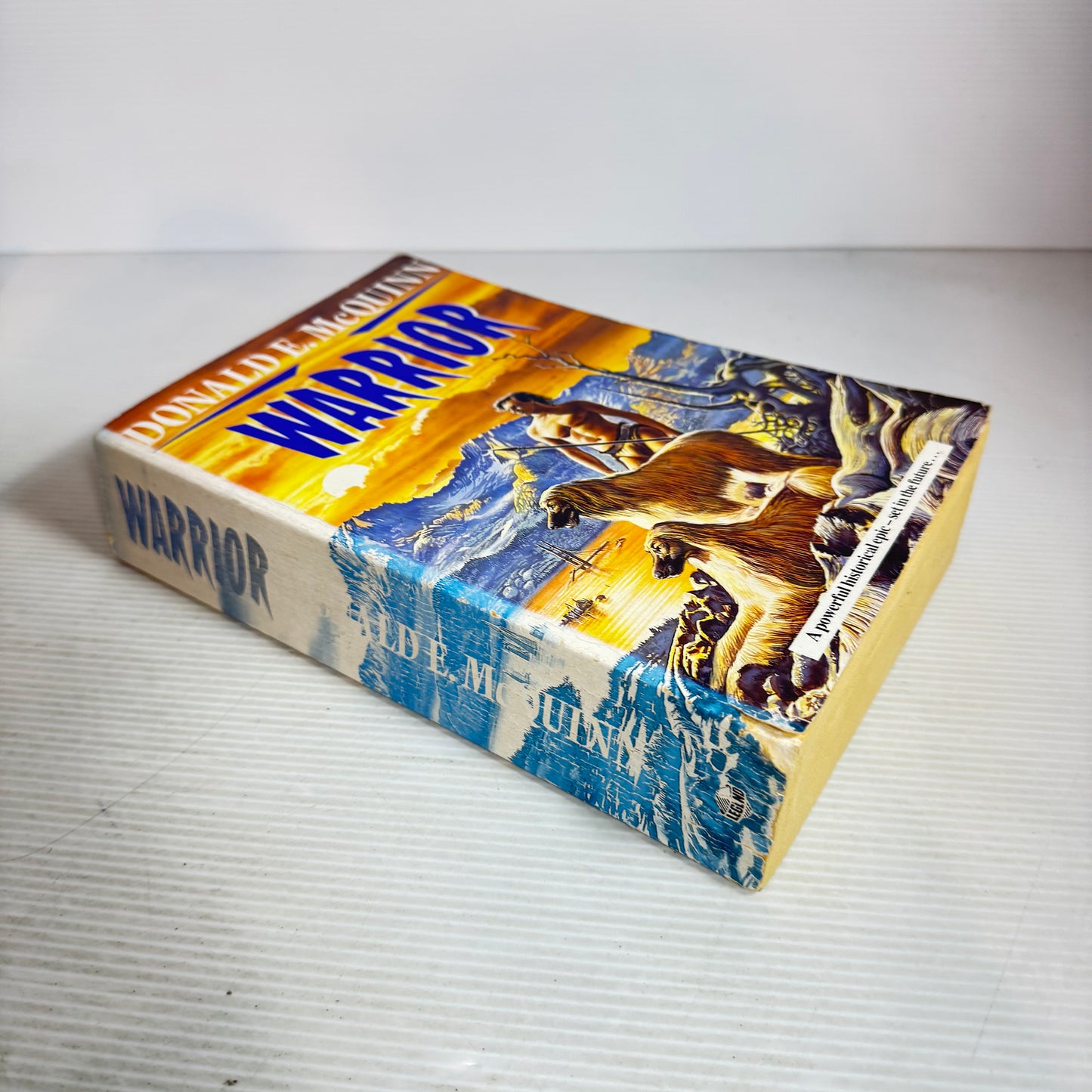 Warrior - Donald E. McQuinn