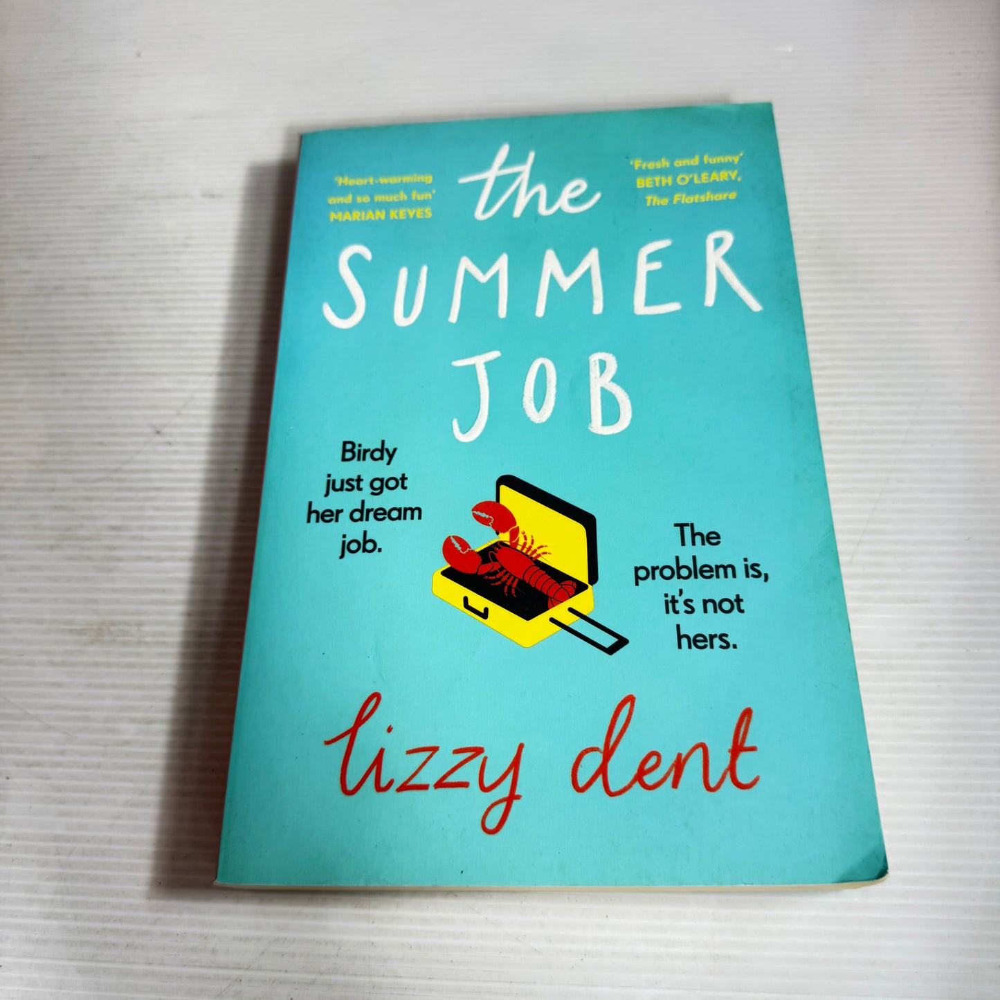 The Summer Job - Lizzy Dent