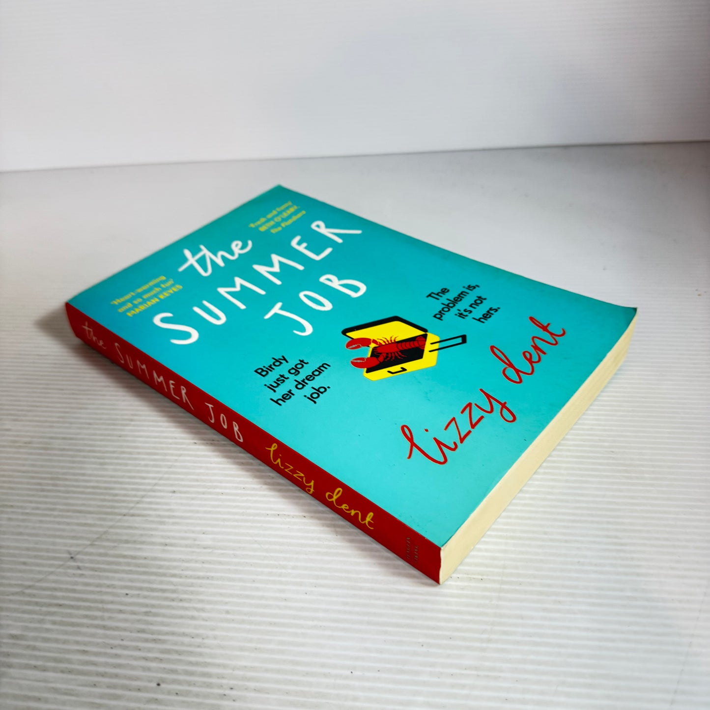 The Summer Job - Lizzy Dent