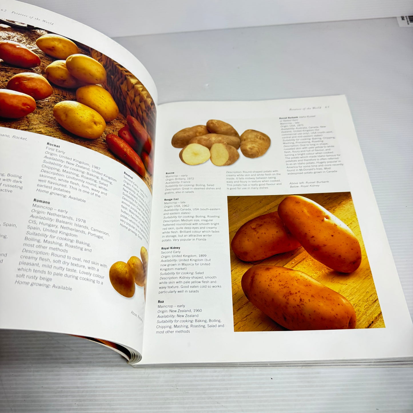 Potato : The Definitive Guide to Potatoes and Potato Cooking - Alex Barker & Sally Mansfield