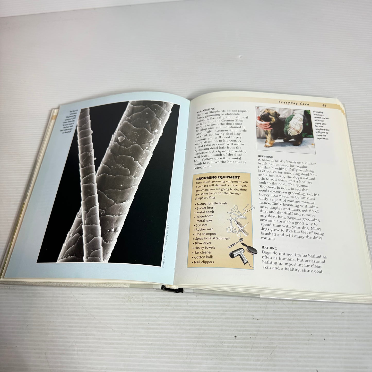 German Shepard Dog - A Kennel Club Book