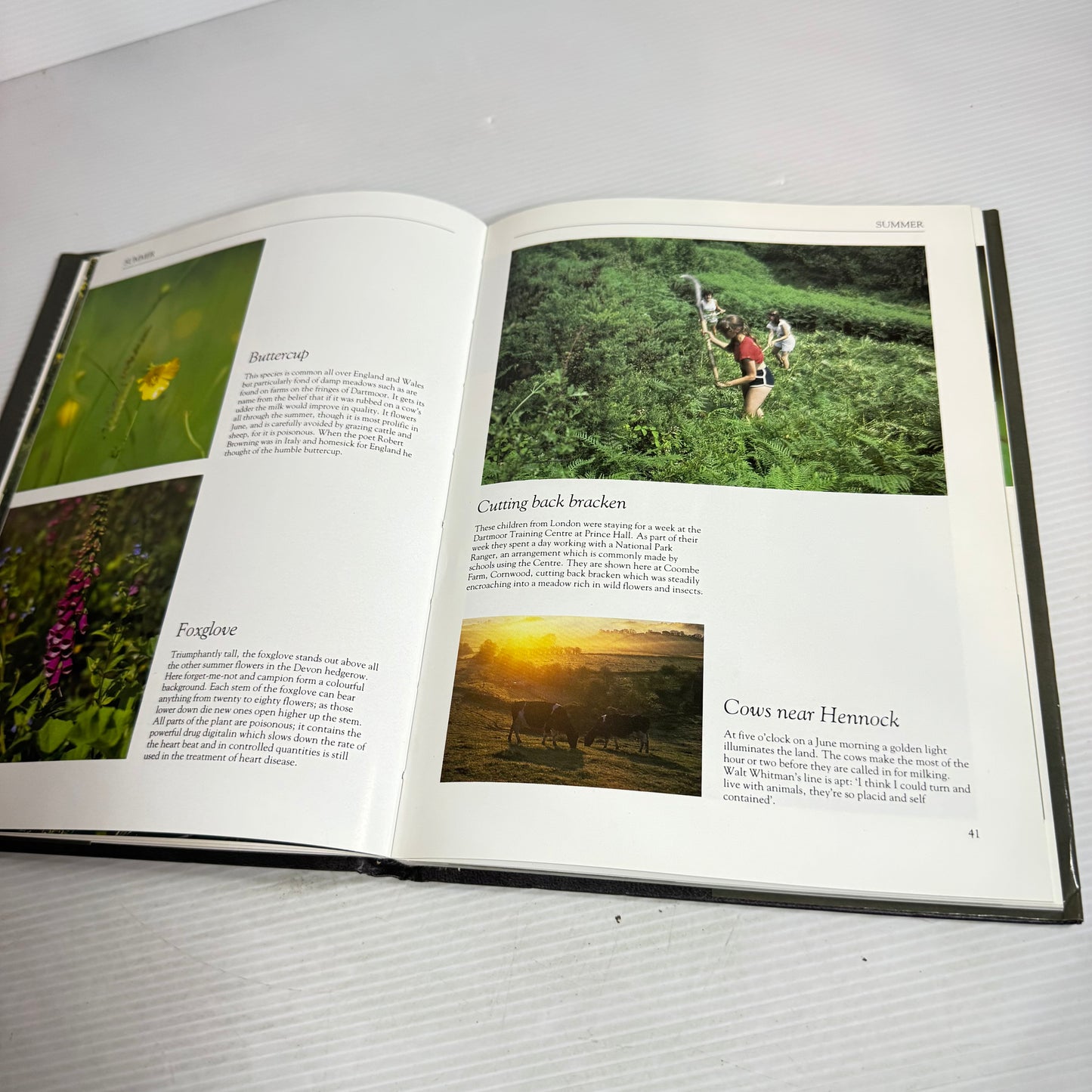 Dartmoor - Seasons - A Photographic Evocation of Southern England's Last Great Wilderness