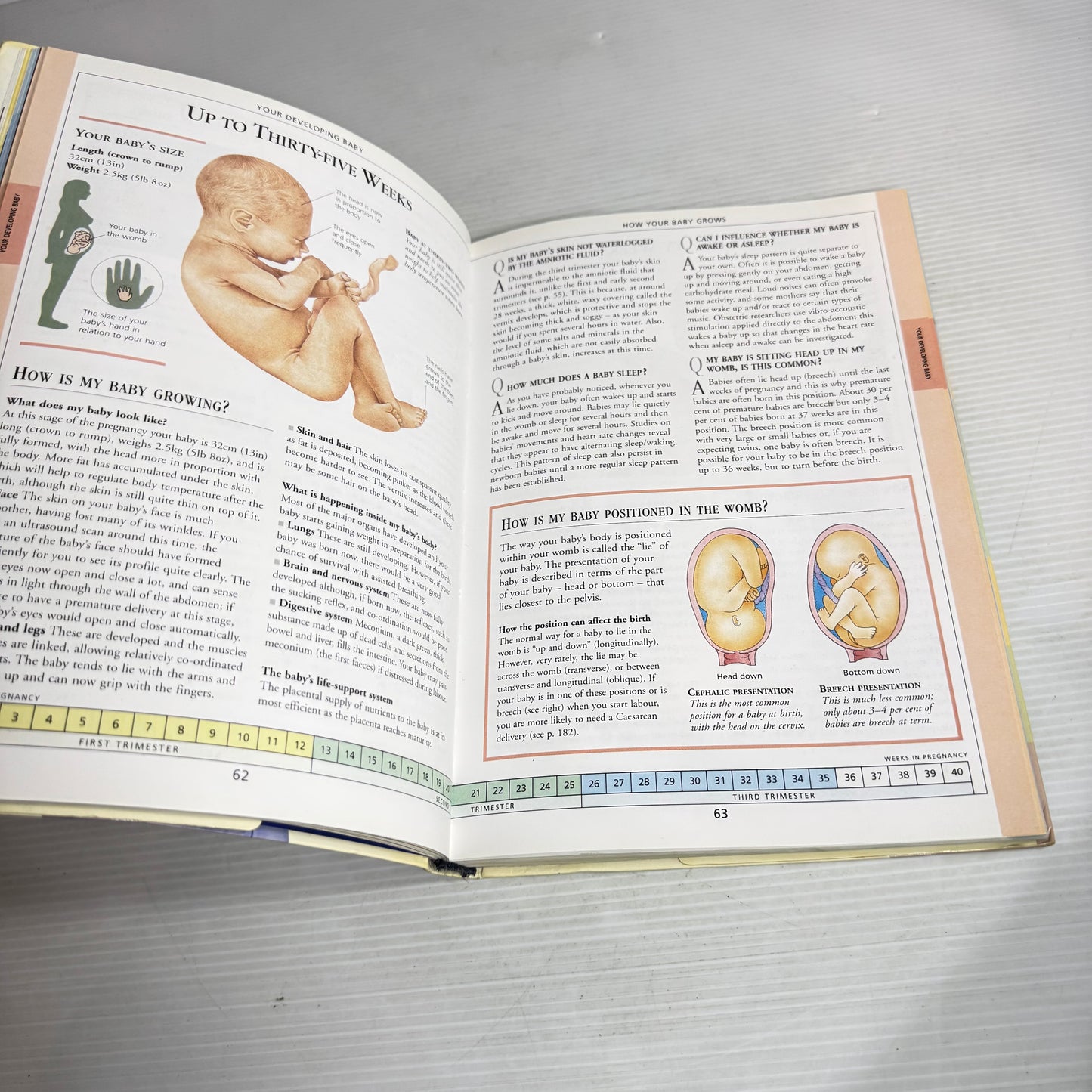 The Pregnancy Question & Answer Book - Dr Lees, Reynolds, McCartan