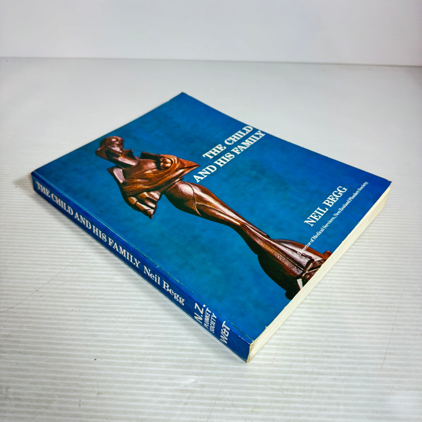The Child and His Family - Neil Begg (Vintage 1974)