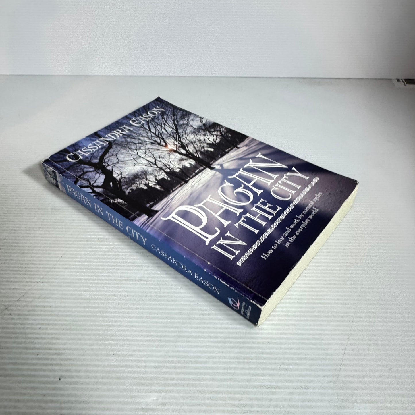 Pagan In The City - Cassandra Eason